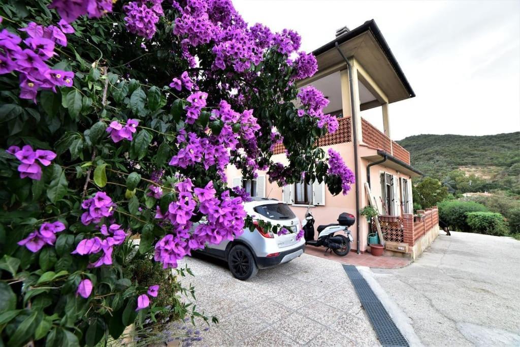 Casa Vacanze Il Pastore Tedesco Portoferraio Extérieur photo