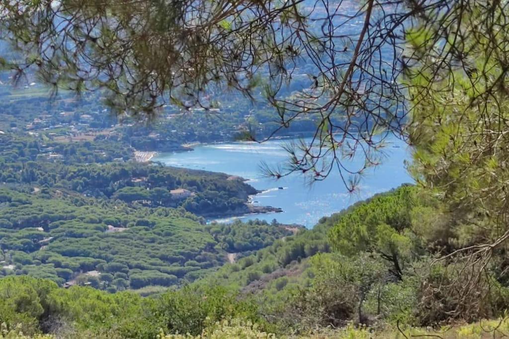 Casa Vacanze Il Pastore Tedesco Portoferraio Extérieur photo