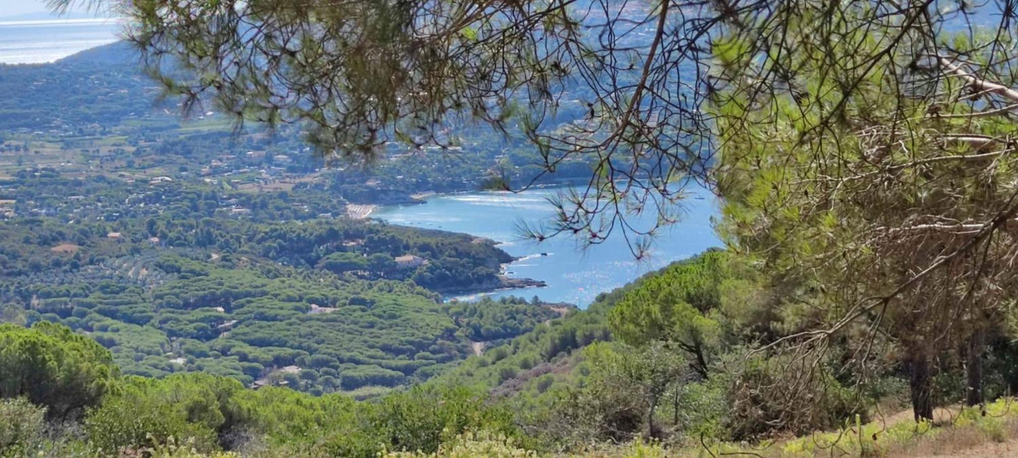 Casa Vacanze Il Pastore Tedesco Portoferraio Extérieur photo